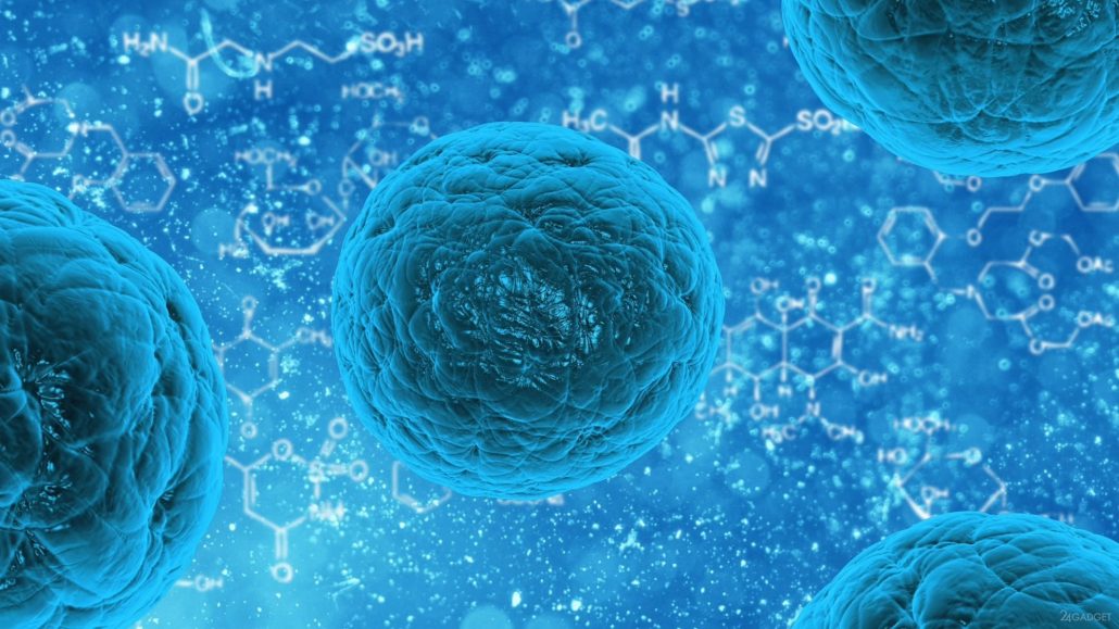 Mesenchymal Stem Cells
