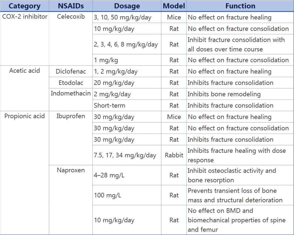 animal studies: functions of NSAIDs in bone remodeling and fracture healing